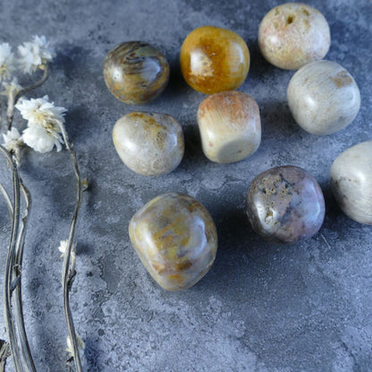 Unique Coral Jade Crystal Tumbles - Embrace the earth's history with Dumi's Crystals! Each tumbled Coral Jade stone (2-2.5cm, 10-20g) boasts a captivating blend of colours and a grounding energy. 