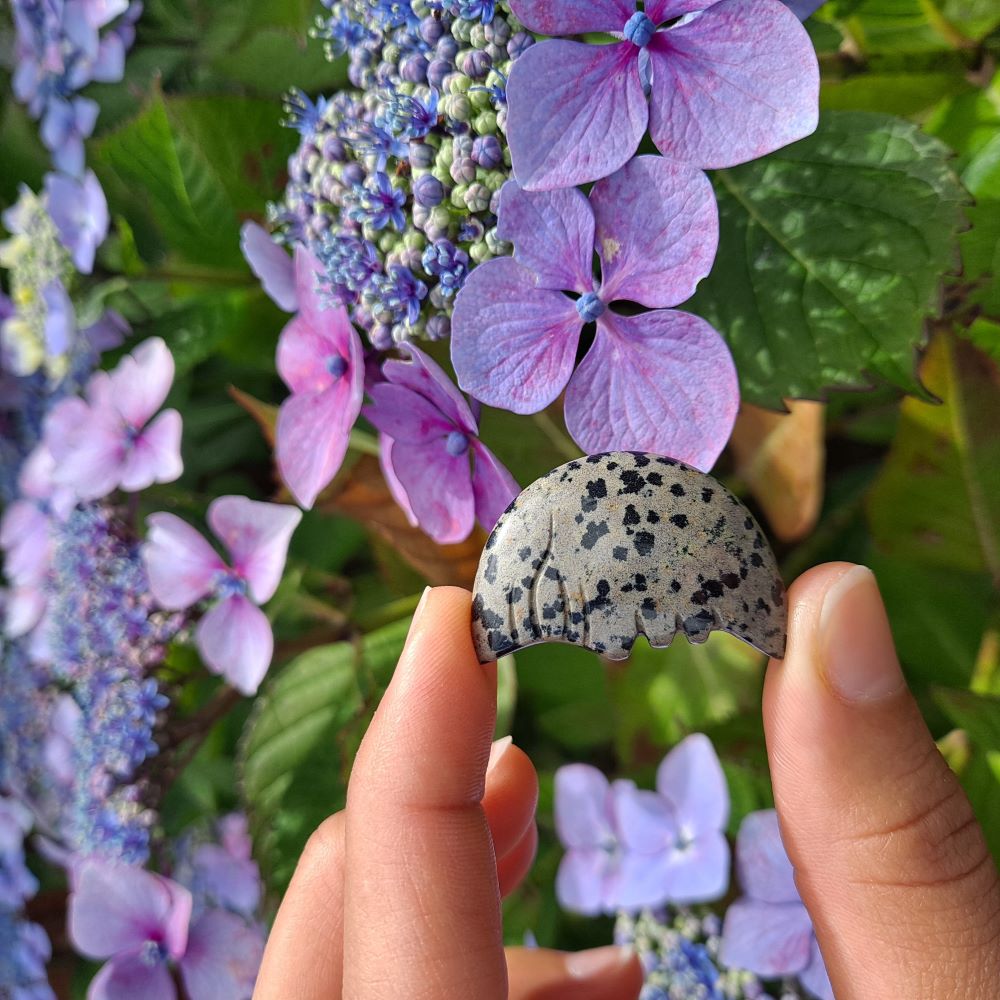 Dumi's Crystals Dalmatian Jasper Moon Face Carving (34x20x6mm): Playful black & white spots radiate joy, creativity & a sense of balance. 