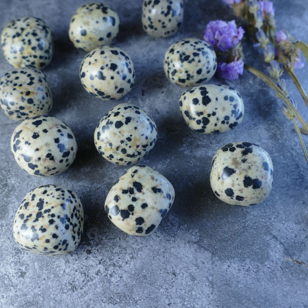 Dalmatian Jasper Crystal Tumbles - Unleash joy and inner peace! Dumi's Crystals offers Dalmatian Jasper stones (2-2.5cm, 15-20g) resembling a Dalmatian's coat. Polished for a smooth finish.  