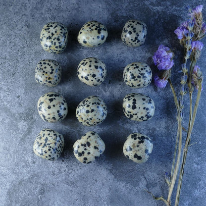 Dumi's Crystals Dalmatian Jasper Tumbles - Playful black spots on creamy white! These polished stones (2-2.5cm) promote joy, positivity, and emotional balance. Perfect for meditation or carrying.