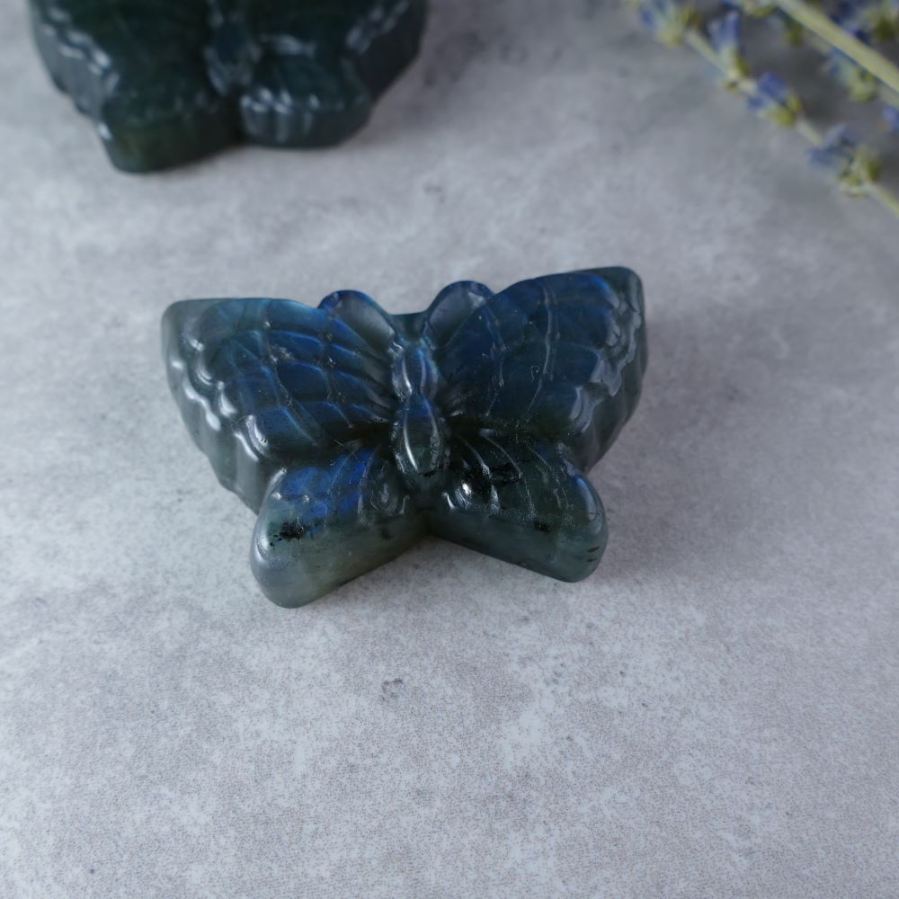 Spread Your Wings with Labradorite! Dumi's Crystals Butterfly (5cm x 3cm). Captivating labradorescence & butterfly symbolism represent transformation and graceful change.