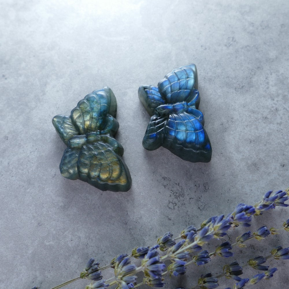 Dumi's Crystals Labradorite Butterfly Carving (5cm x 3cm) - Embrace Transformation! Mesmerizing labradorescence adorns this hand-carved butterfly, symbolizing beauty and change.  