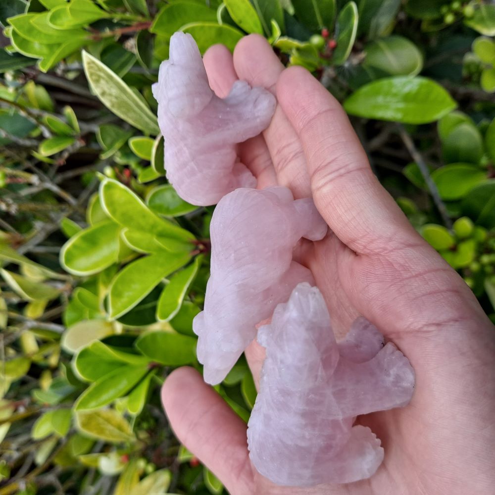 Dumi's Crystals | Rose Quartz Mini Bear Carving (Pocketful of Positivity): A close-up of Rose Quartz Mini Bear Carvings nestled in a hand. Rose Quartz, the "Stone of Love," fosters positive energy & strengthens relationships. These charming bears bring a touch of love wherever they go. Ethically sourced crystals from Dumi's Crystals.