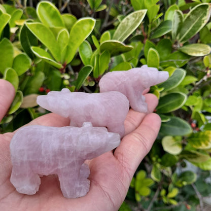 Dumi's Crystals | Rose Quartz Mini Bear Carvings (Love in the Palm): A handful of adorable Rose Quartz Mini Bear Carvings, radiating love and compassion. Each bear, crafted from genuine rose quartz with delicate fur details, promotes self-love & emotional healing. Carry love with you wherever you go. Ethically sourced crystals from Dumi's Crystals.