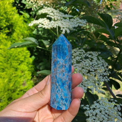 Blue Apatite Tower (6-10cm) | Voice, Creativity, Manifestation