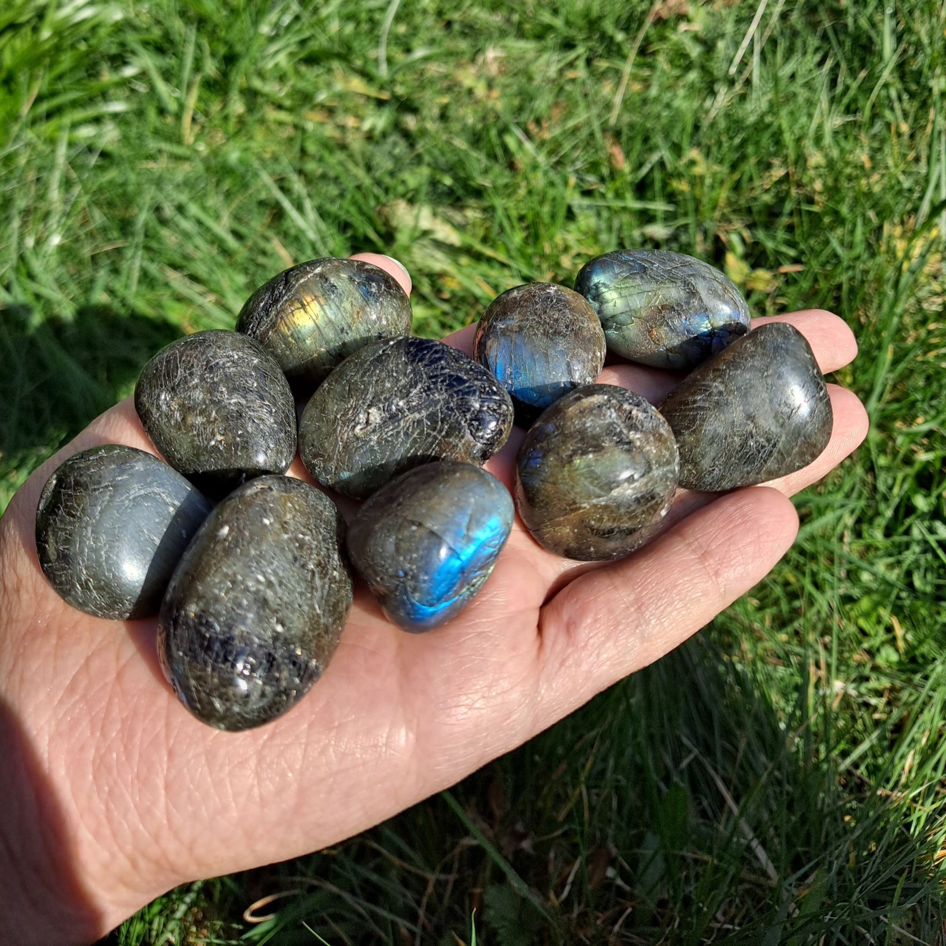 Dumi's Crystals | Labradorite Tumbled Stones (Protection & Transformation) | A handful of Labradorite Tumbled Stones, each radiating a mesmerizing play of color. Renowned for deflecting negativity, boosting intuition & promoting spiritual growth, hold them during meditation or carry them throughout the day to unlock your inner light, navigate challenges & embark on a journey of profound transformation.