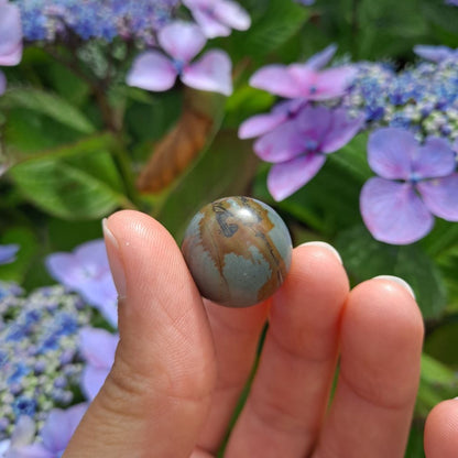 Dumi's Crystals | Frosted Polychrome Jasper Mini Sphere (20mm) | A close-up view of a captivating Frosted Polychrome Jasper Mini Sphere, showcasing its beautiful frosted finish and unique blend of earthy tones. This 20mm sphere is believed to promote peace, balance, and inner strength. It's also thought to be a grounding stone, reducing stress and anxiety.