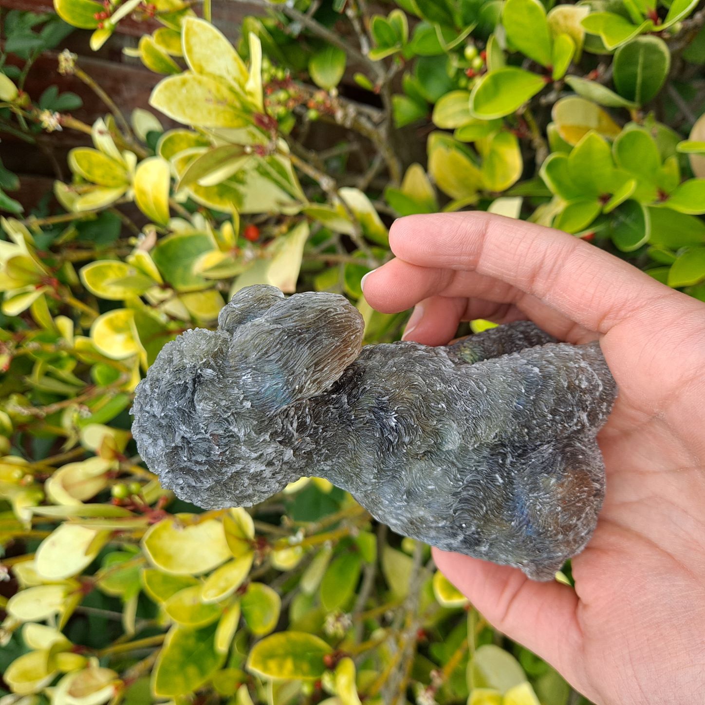 Labradorite Poodle figurine. Polished crystal chips encased in resin for a mesmerizing display.