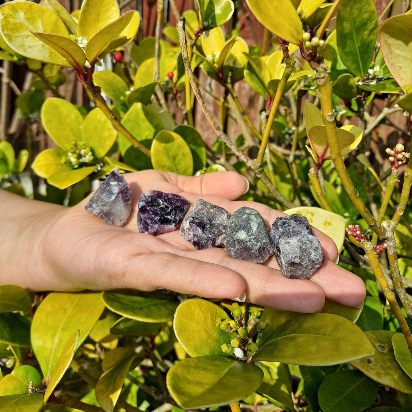 rainbow fluorite rough stone crystal dumiscrystals