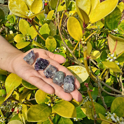 Dumi's Crystals | Rough Fluorite Crystals (Clarity & Focus) | A handful of Rough Fluorite Crystals, radiating vibrant colors. Renowned for enhancing mental clarity, focus & decision-making, hold them during meditation or carry them throughout the day to sharpen your mind, dissolve confusion & promote mental well-being. Embrace the brilliance of Rough Fluorite!