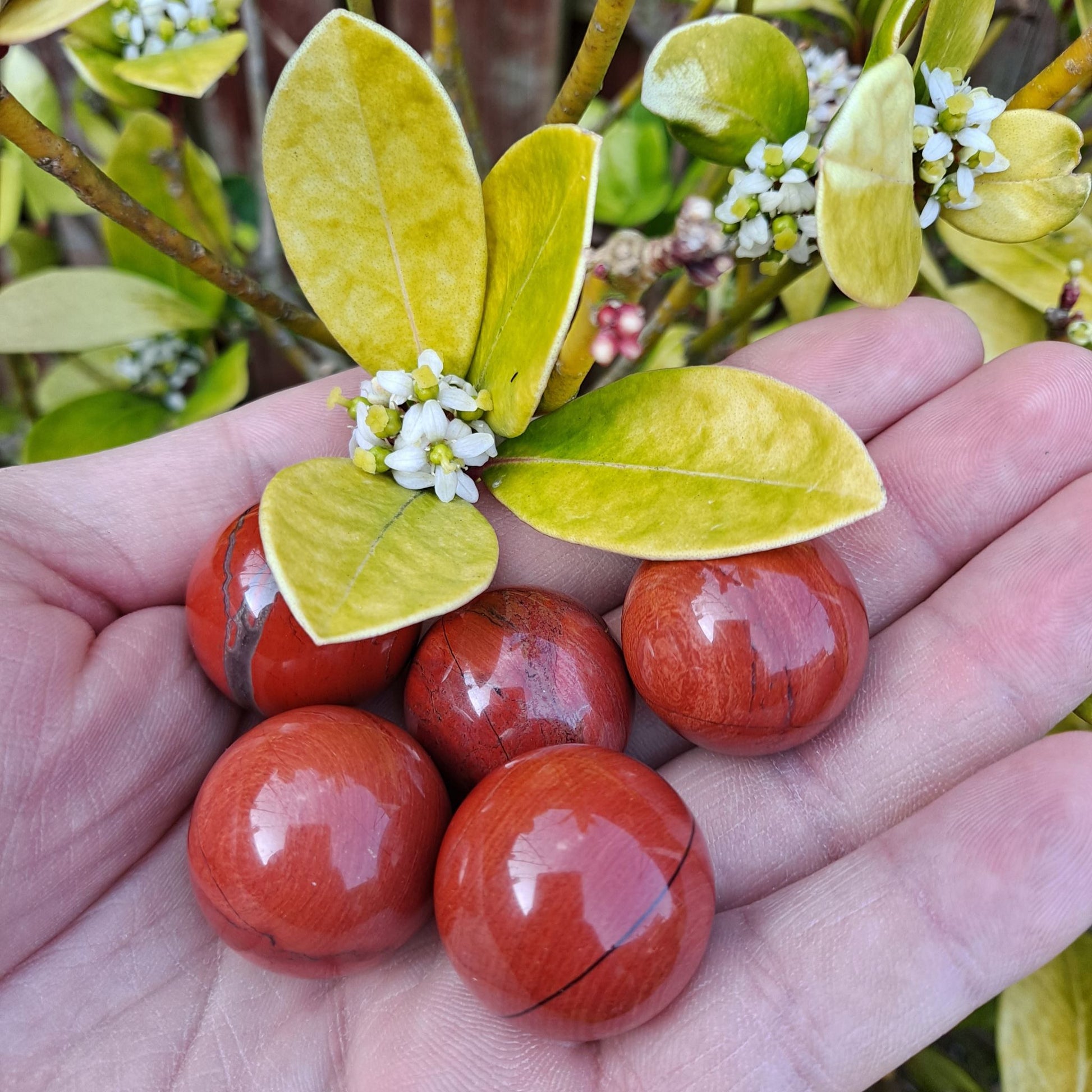 Dumi's Crystals | Red Jasper Spheres (25mm) | A collection of captivating Red Jasper Spheres (25mm), each displaying a variation in shade. These spheres offer a substantial presence, perfect for meditation, crystal grids, or adorning your altar.