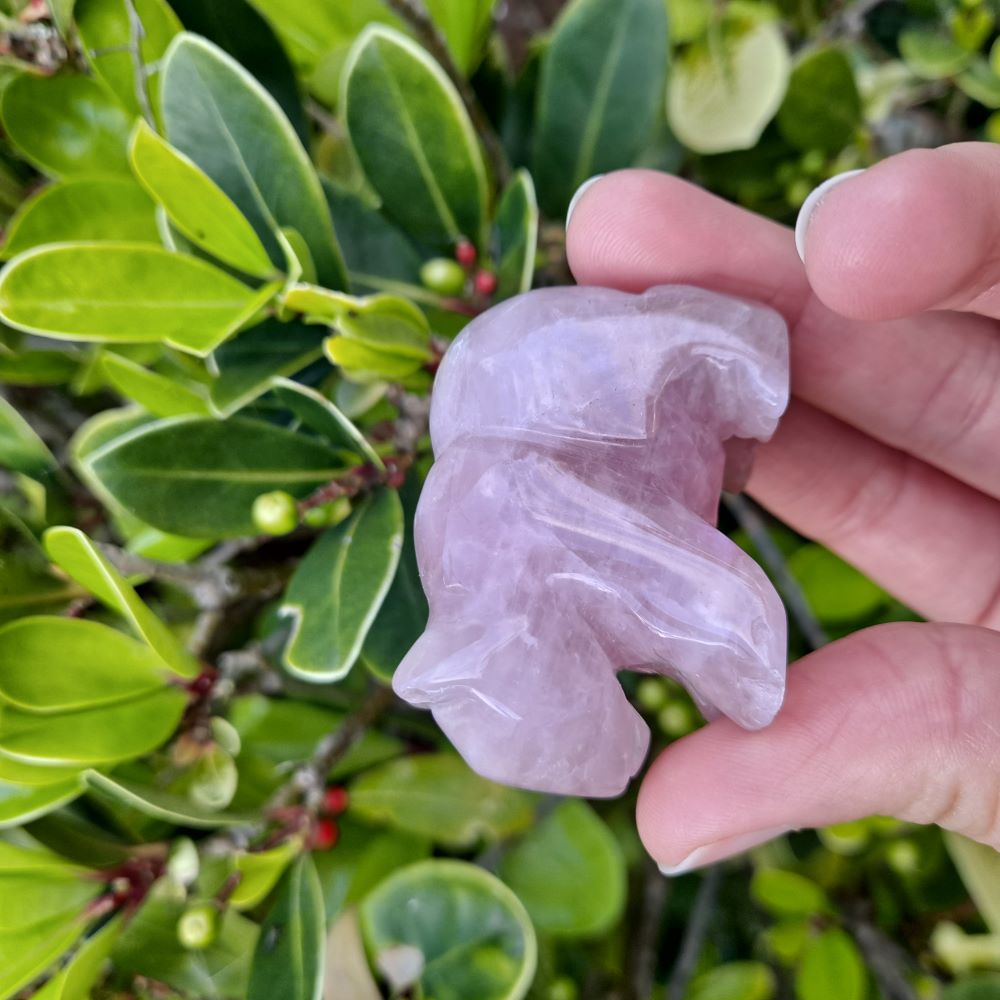 Dumi's Crystals | Rose Quartz Bear Carving (Warm Embrace):  A Rose Quartz Bear Carving, radiating gentle love. Hand-crafted from genuine rose quartz, this symbol of compassion & emotional healing offers a warm embrace. Foster self-love with Dumi's Crystals (ethically sourced).