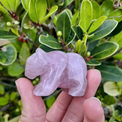 Dumi's Crystals | Rose Quartz Bear Carving (Warm Embrace):  A Rose Quartz Bear Carving, radiating gentle love. Hand-crafted from genuine rose quartz, this symbol of compassion & emotional healing offers a warm embrace. Foster self-love with Dumi's Crystals (ethically sourced).