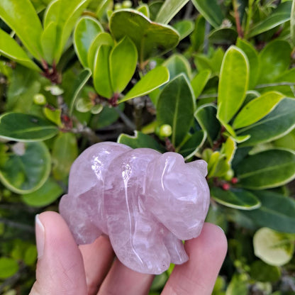 Dumi's Crystals | Rose Quartz Bear Carving (Unique Love Token):  An adorable Rose Quartz Bear Carving, a unique token of love. While shapes may vary, each bear radiates love & compassion. Find your perfect Rose Quartz Bear at Dumi's Crystals (ethically sourced).