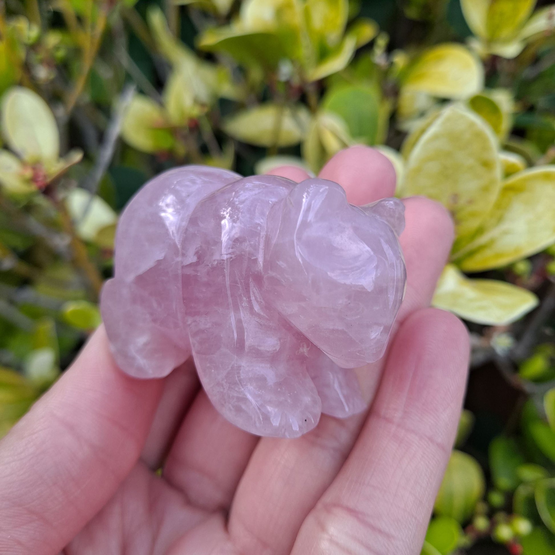 Dumi's Crystals | Rose Quartz Bear Carving (Inner Peace Guardian):  A Rose Quartz Bear Carving, a guardian of inner peace. Crafted from genuine rose quartz, this bear promotes self-love, forgiveness, & emotional healing. Embrace tranquility with Dumi's Crystals (ethically sourced).