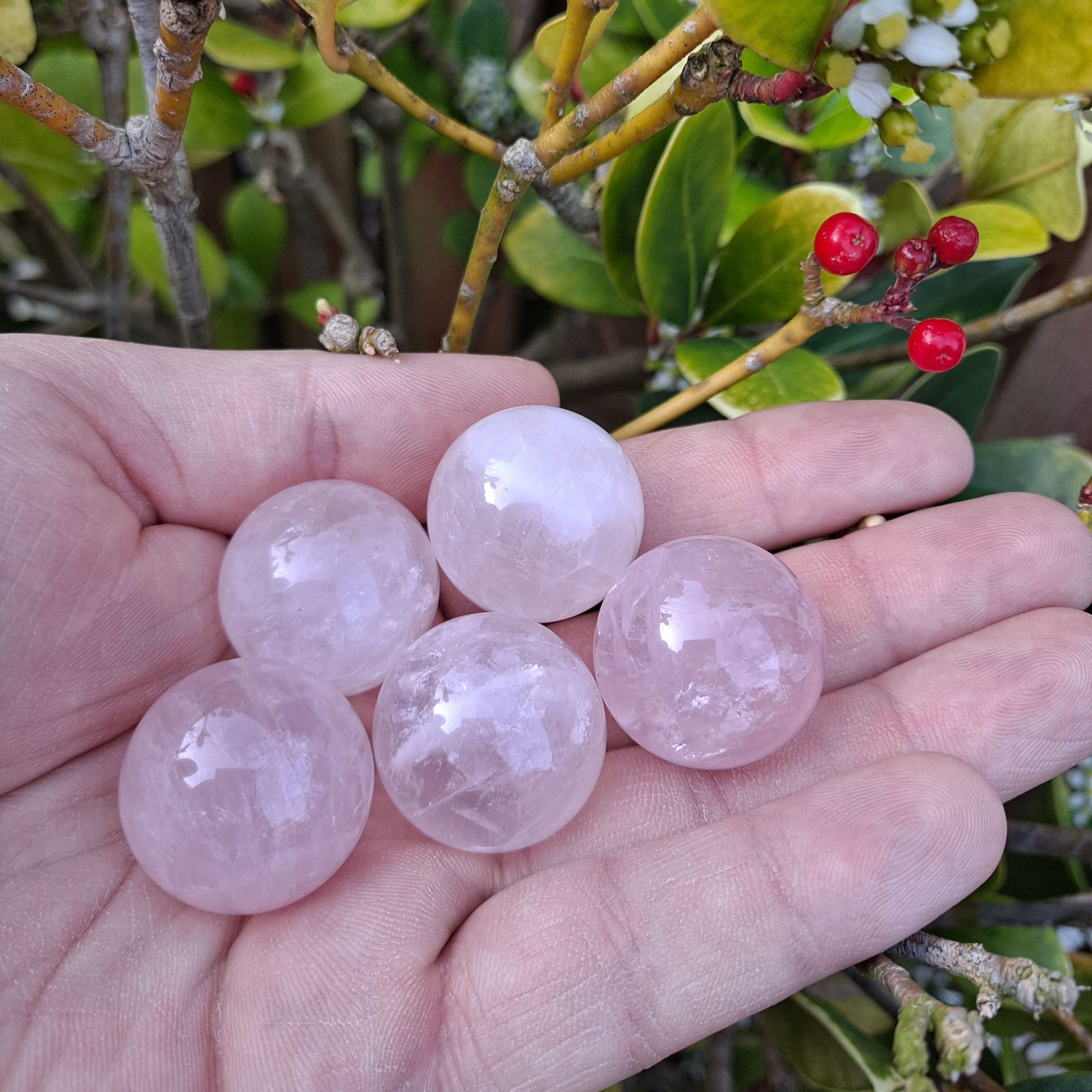 Dumi's Crystals | Rose Quartz Spheres (25mm) | A collection of captivating Rose Quartz Spheres (25mm), each displaying variations in their soft pink hues. These spheres offer a striking presence, perfect for meditation, crystal grids, or adorning your altar. Each sphere is believed to radiate love, compassion, and healing energy.