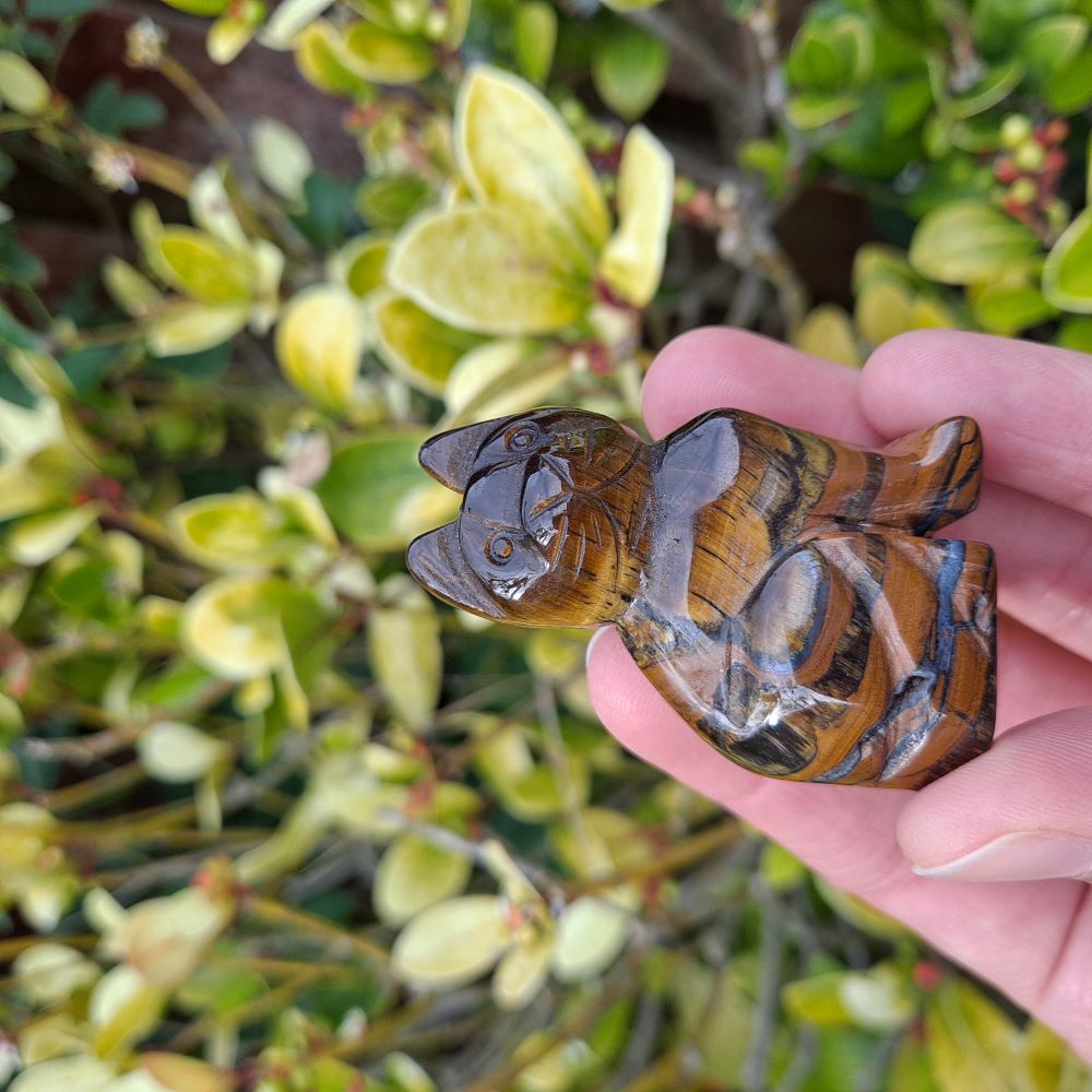 Tiger's Eye Cat Carving by Dumi's Crystals: A symbol of courage, focus, and feline spirit. (Single carving)