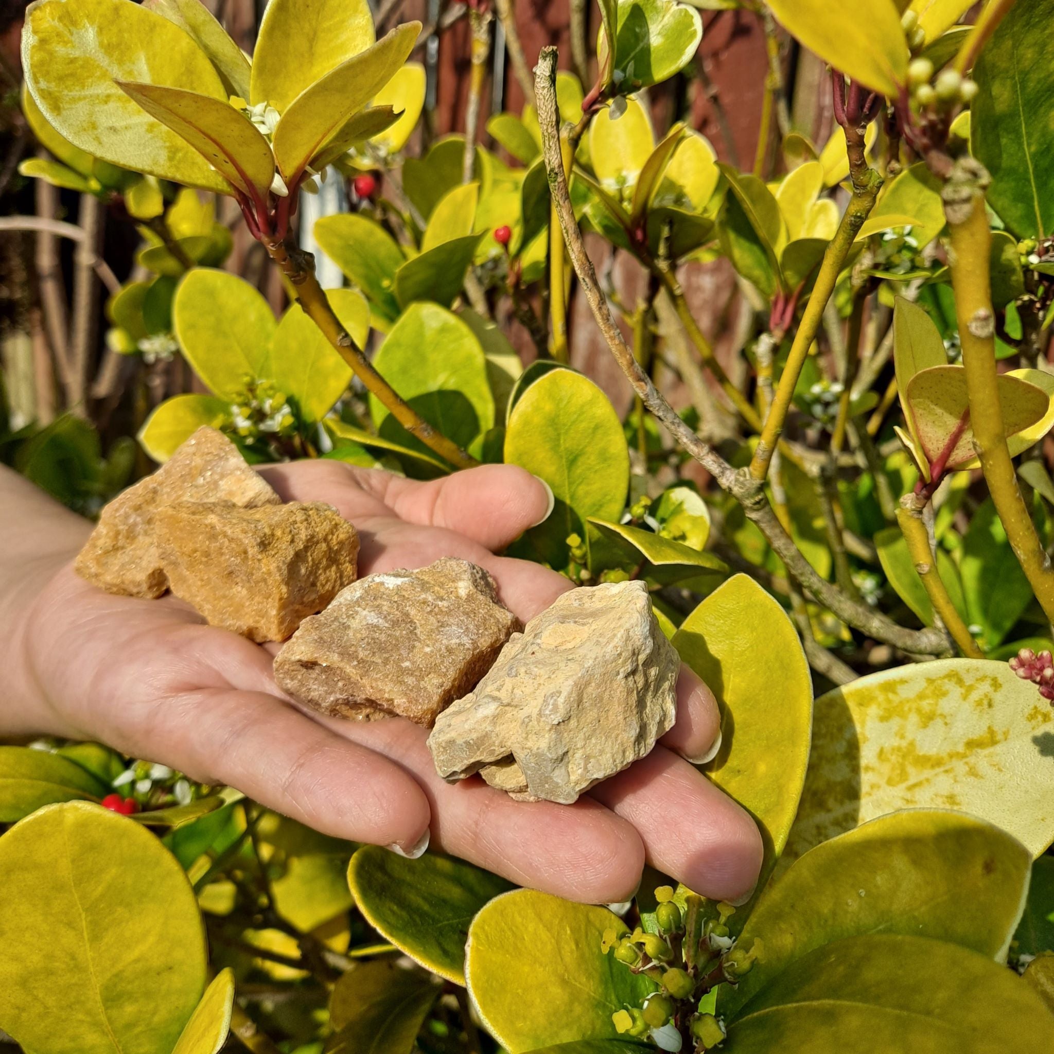 Yellow aventurine online crystal healing